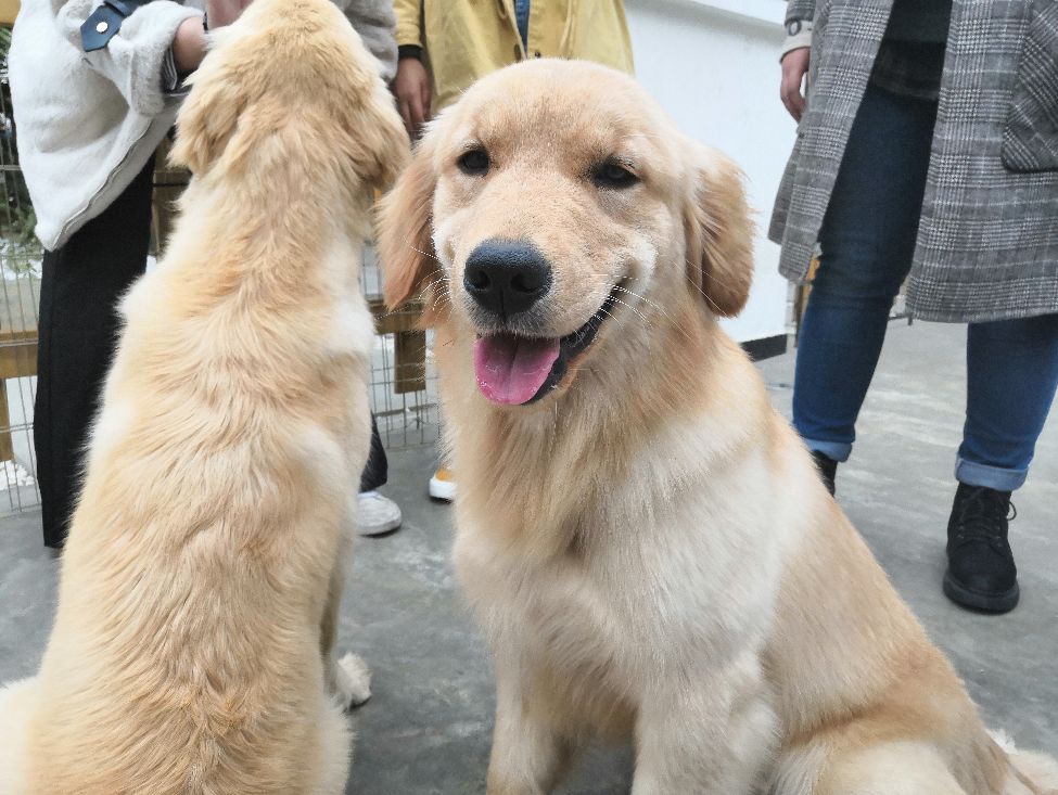 成都四大咖啡馆_成都咖啡_成都咖啡馆有多少家